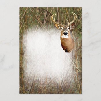 Rustic Camo Hunting Deer Antlers Blank Invitations by CustomWeddingSets at Zazzle