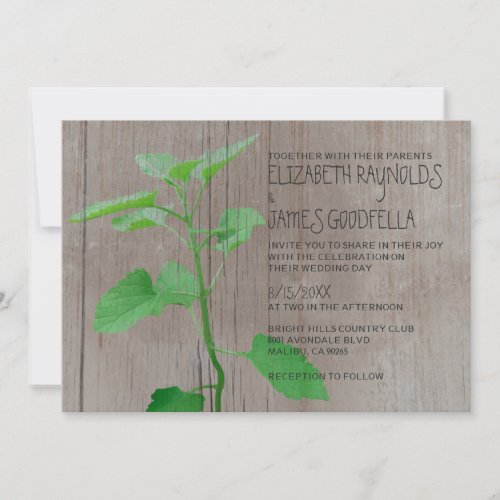 Rustic Catmint Wedding Invitations