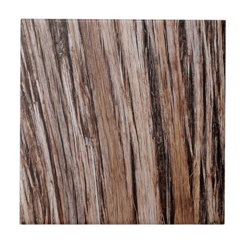 Rustic cedar bark nature tree outdoors pattern ceramic tile