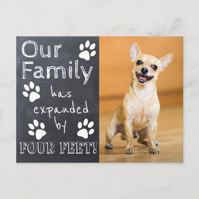 Rustic Chalkboard New Pet Announcement with Paws | Postcard (Front)