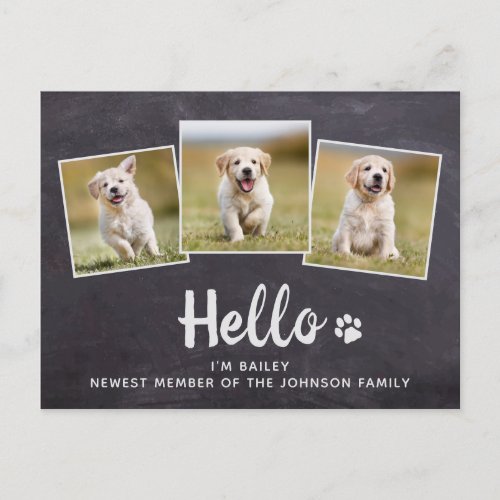 Rustic Chalkboard New Pet Photo Hello Puppy Dog Announcement Postcard - Hello...I'm Puppy, Newest member of the family ! Introduce your new little pup with this rustic chalkboard new pet announcement card for new dog's, and puppies.
Add your pup's favorite photo's and personalize with pups name and family name ! Type your personal message to family and friends on the back or delete to handwrite.
Whether a new puppy or an adopted rescue dog, this new pet announcement design is perfect to send to family and friends to welcome a new family pet. COPYRIGHT © 2020 Judy Burrows, Black Dog Art - All Rights Reserved. 
Rustic Chalkboard New Pet Photo Hello Puppy Dog Announcement Postcard