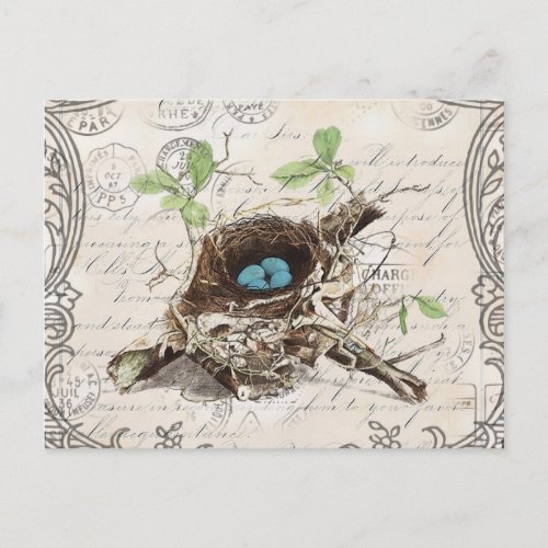 rustic chic french country botanical bird nest postcard