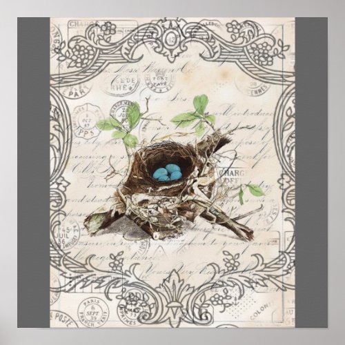 rustic chic french country botanical bird nest poster