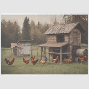 Rustic Chicken Decouapge 18lbs Tissue Paper