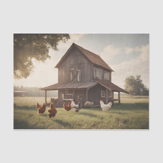 Rustic Chicken  Decoupage 10lbs Tissue Paper (Front)