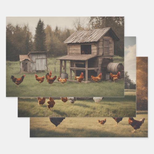 Rustic Chicken  Wrapping Paper Sheets