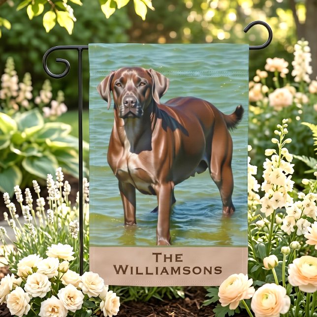 Rustic Chocolate Lab Dog in Water Garden Flag (Creator Uploaded)