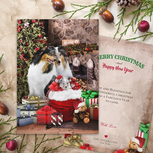 Rustic Christmas Eve Rough Collie Family _ Card