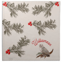 Rustic Christmas Snow Owl