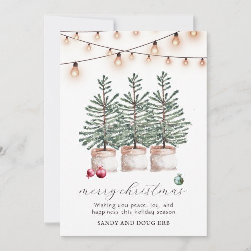 Rustic Christmas Trees Holiday Card