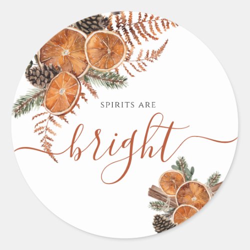 Rustic Citrus And Pine Winter Holiday  Classic Round Sticker