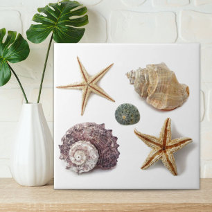 rustic coastal beach chic seashell starfish ceramic tile