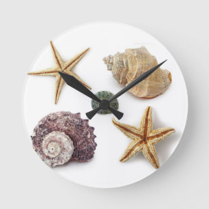 rustic coastal  beach chic seashell starfish round clock