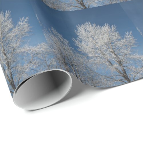 Rustic country blue sky snow scene  winter trees wrapping paper