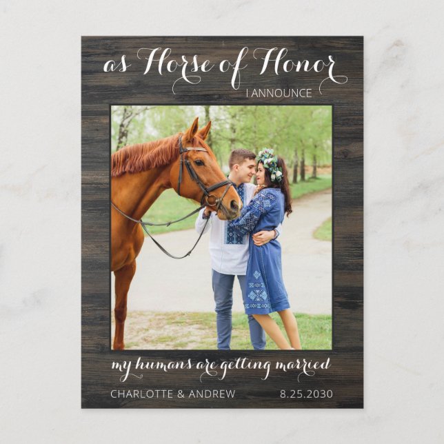 Rustic Country Photo Horse Save The Date Announcement Postcard (Front)