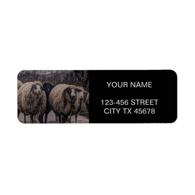 Rustic country road ranch farm herd of sheep label (Front)