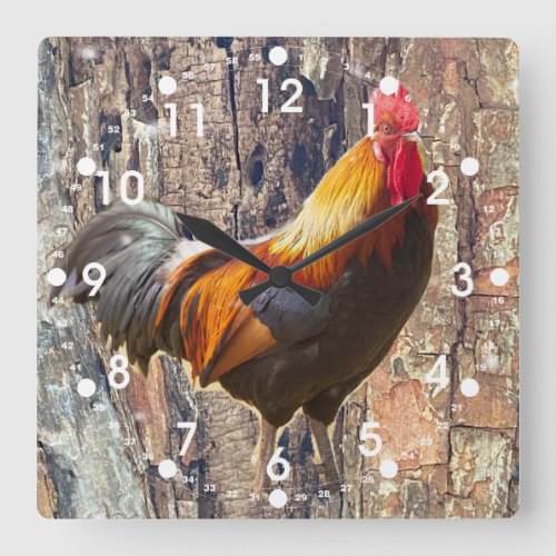 Rustic Country Rooster and Tree Bark Farm Square Wall Clock