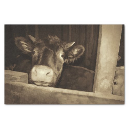 Rustic Country Vintage Sepia Cow Old Barn Tissue Paper