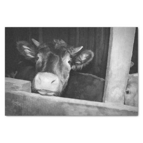 Rustic Cow Country Vintage Black And White Barn Tissue Paper