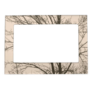 Rustic cream brown tree branches magnetic frame