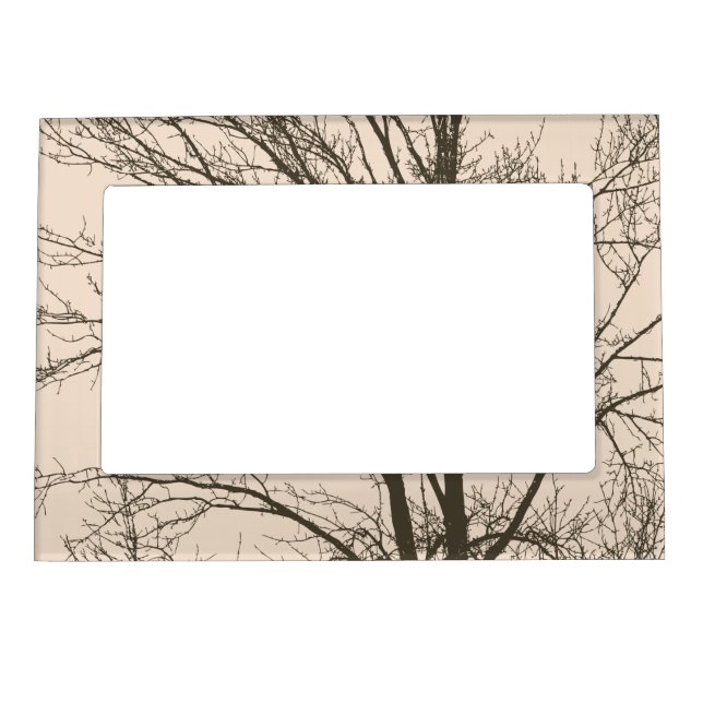 Rustic cream brown tree branches  magnetic frame (Front)