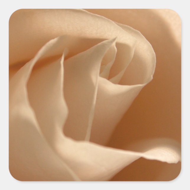 Rustic Cream Colored Rose Wedding Envelope Seal (Front)