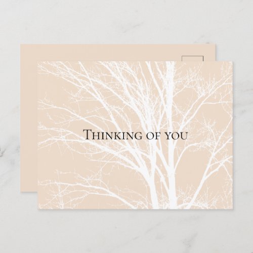 Rustic Cream White Tree Branches Postcard