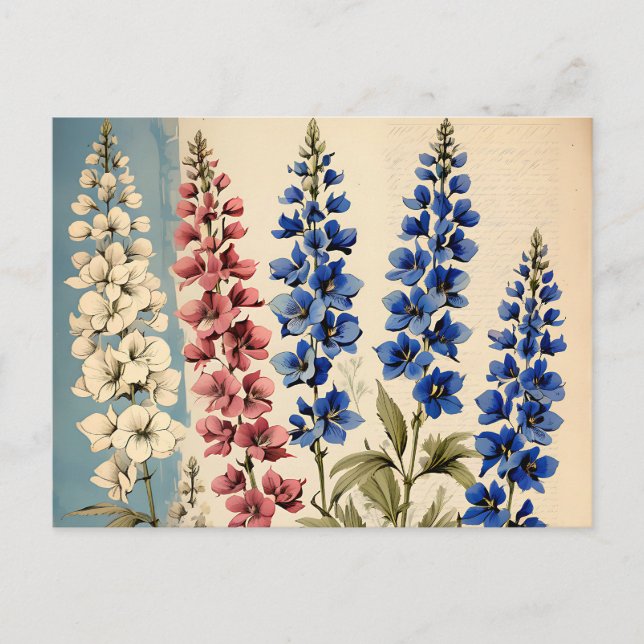 Rustic Delphinium Botanical Postcard (Front)