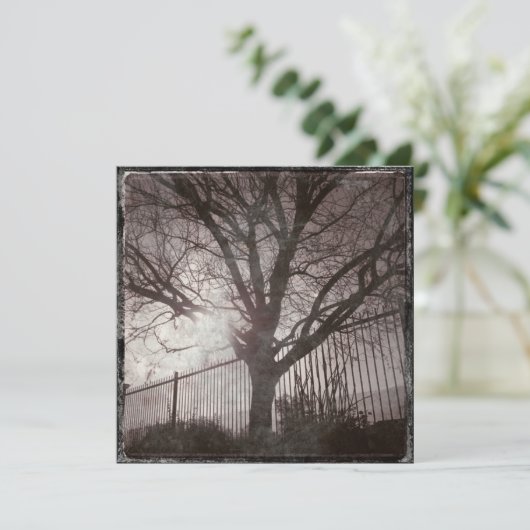 Rustic Distressed Tree Silhouette Grunge (Standing Front)