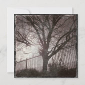 Rustic Distressed Tree Silhouette Grunge (Front)