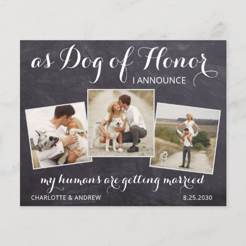 Rustic Dog Of Honor Budget Wedding Save The Date
