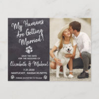 Rustic Dog Wedding Dog Save The Date Announcement Postcard