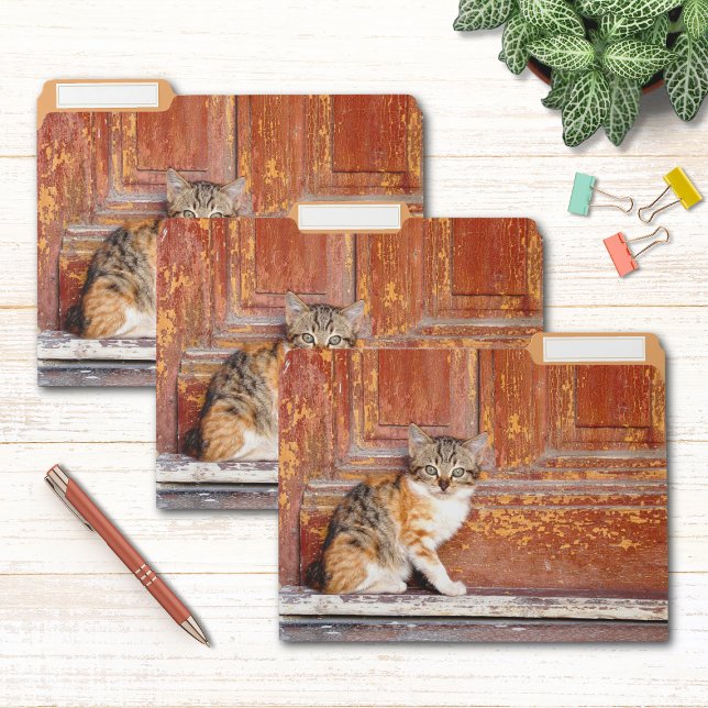 Rustic Door Cat Cute Kitten Custom File Folder (Creator Uploaded)