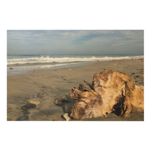 Rustic Driftwood Beach Ocean Waves Coastal Photo Wood Wall Art