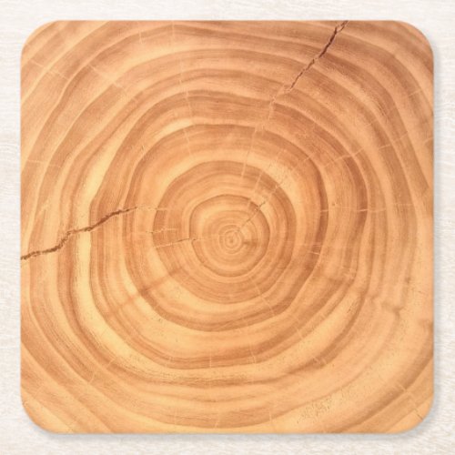Rustic Elm Wood Grain Branch Slice Paper Coaster