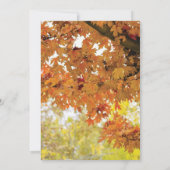 Rustic Fall Autumn Tree Lights Bridal Shower Invitation (Back)