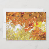 Rustic Fall Autumn Tree Lights Photo Wedding Invitation (Back)