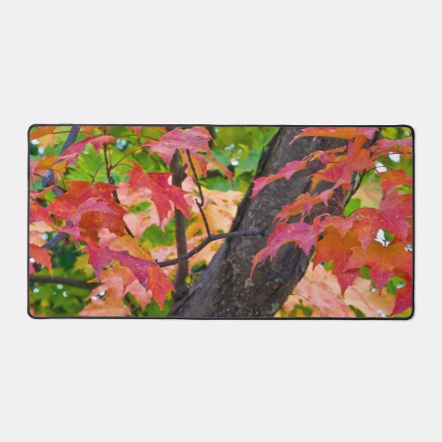 Rustic Fall Colors Autumn Foliage Photo Desk Mat (Front)