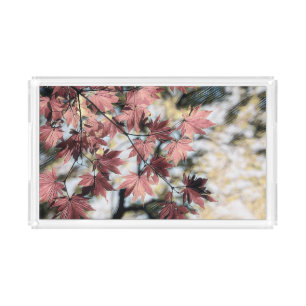 Rustic fall maple leaves rusty red pink brown acrylic tray