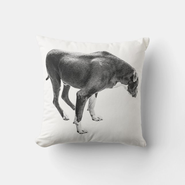 Rustic Fall Protector Throw Pillow (Front)