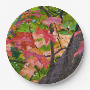 Rustic Fall Wedding Colors Autumn Foliage Photo Paper Plates