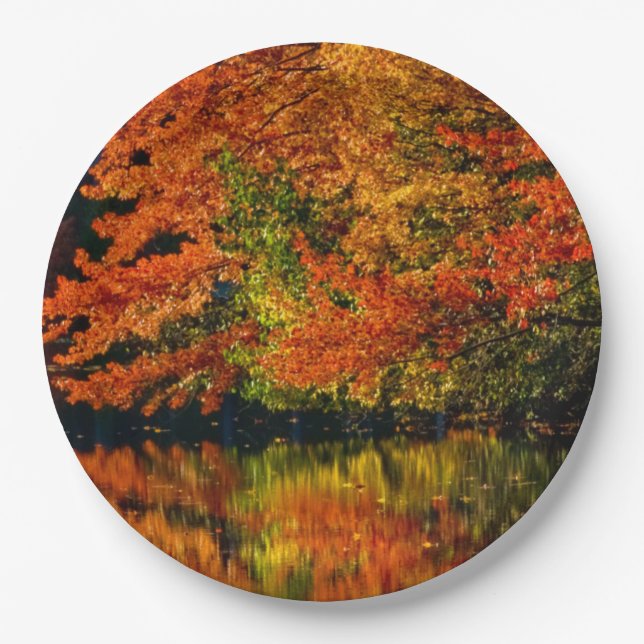 Rustic Fall Wedding Colors Autumn Reflection Paper Plates (Front)
