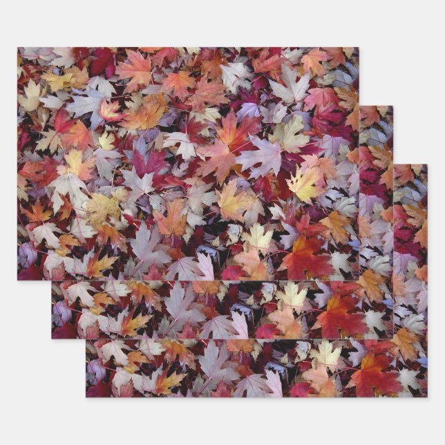 Rustic Fallen Autumn Tree Leaves Pattern Wrapping Paper Sheets (Set)