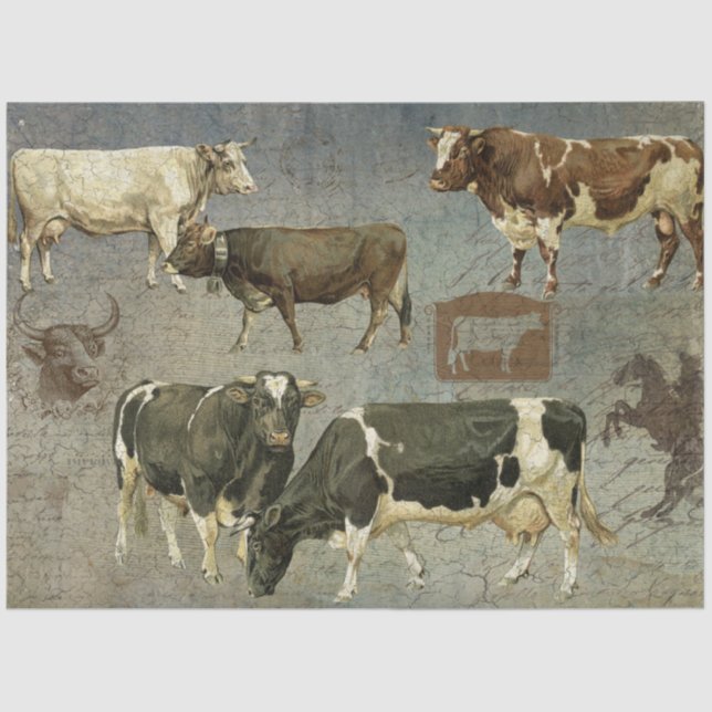 Rustic Farm Cow Cattle Western Farmhouse Decoupage Tissue Paper (Front)