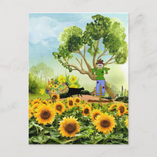 Rustic Farm Style Sunflower Garden Postcard