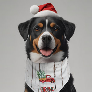 Rustic Farmhouse Distressed Wood Red Truck Pet  Bandana Collar