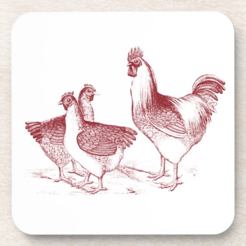 Rustic Farmhouse Kitchen Red Rooster Hens Beverage Coaster