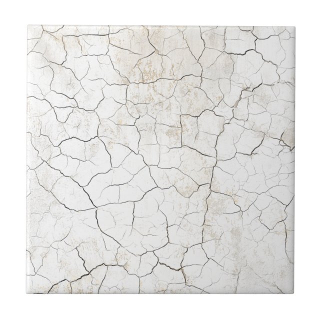 Rustic Faux Cracked Porcelain Texture Ceramic Tile (Front)