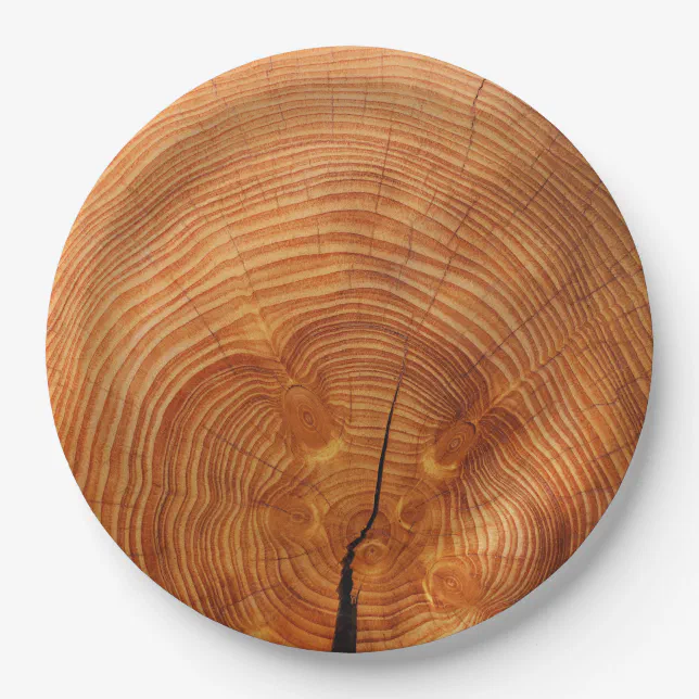 Rustic Faux Wood Grain Disposable Paper Plates Zazzle