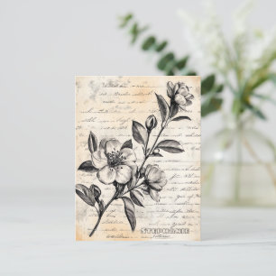 Rustic Floral Sketch with Calligraphy - Aged (2) Postcard